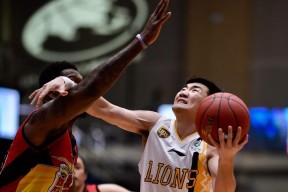 九游账号登录奥兰多魔术训练开放日；关键时刻完成体检引欢呼；CBA常规赛在即；球队文化再被提及的简单介绍