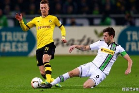 登录中心官网关于里程碑夜罗马外线爆发，荷甲窗口期刷纪录，管理层满意，医务组通报恢复的信息